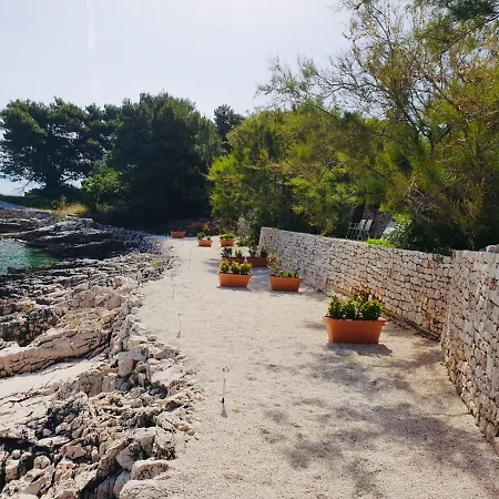 Apartman Apartmenthaus Punta **** *